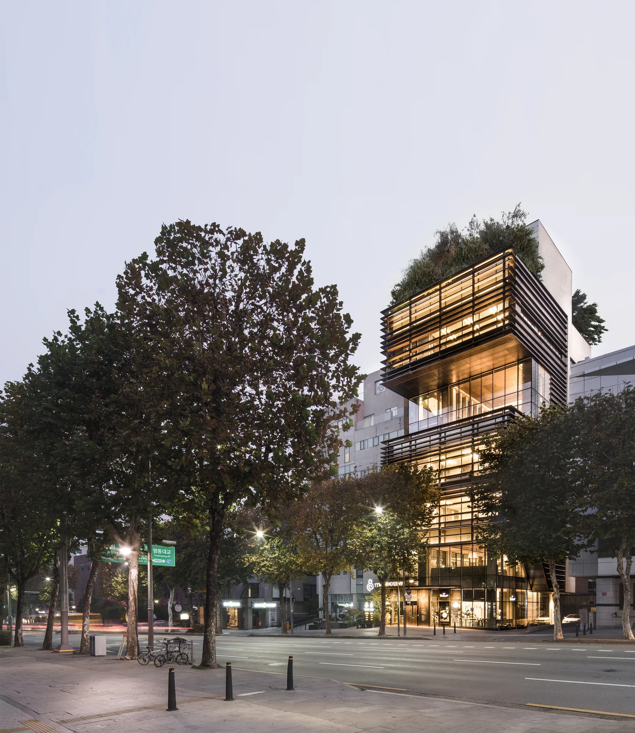 Juno Academy